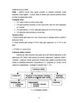 Biznesa plāns 'Uzņēmējdarbības plāns SIA "Moda"', 6.