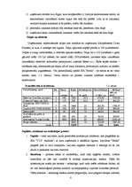 Biznesa plāns 'Uzņēmējdarbības plāns SIA "Moda"', 8.