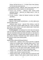 Biznesa plāns 'Uzņēmējdarbības plāns SIA "Moda"', 17.