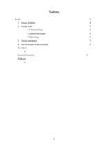 Referāts 'Līzings', 6.