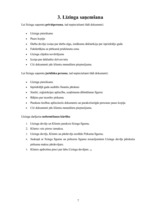 Referāts 'Līzings', 11.