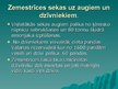 Prezentācija 'Zemestrīce Šičuaņā', 4.