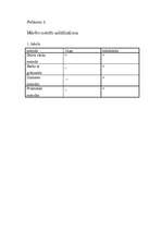 Referāts 'Reformācijas būtība un ieguldījums pedagoģijas attīstībā', 18.