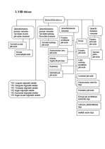 Referāts 'Valsts ieņēmumu dienests', 14.