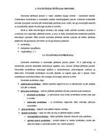 Referāts 'Ceļu satiksmes negadījumu statistiskie dati Valmieras rajonā', 8.