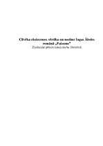 Referāts 'Cilvēka eksistences vērtība un nozīme Ingas Ābeles romānā "Paisums"', 1.