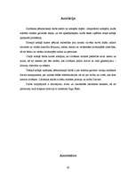 Referāts 'Cilvēka eksistences vērtība un nozīme Ingas Ābeles romānā "Paisums"', 27.