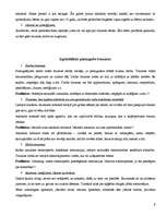 Referāts 'Traumatisms ikdienā', 9.