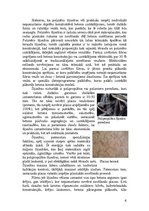 Referāts 'Betona šķiedras un to izmantošana', 6.