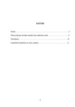 Referāts 'Ceļu policijas darba organizācija', 2.