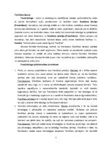 Biznesa plāns 'Restorāns "Pie hercoga Jēkaba"', 7.