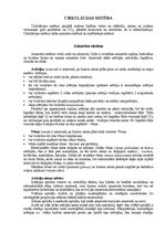 Konspekts 'Cirkulācijas sistēma', 1.