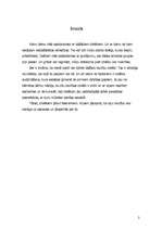 Referāts 'Saskarsme un etniskā piederība', 2.