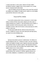 Referāts 'Saskarsme un etniskā piederība', 5.