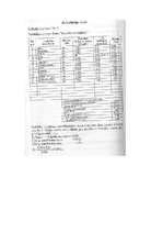 Paraugs 'Kalkulācija un uzskaite', 8.