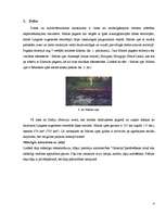 Referāts 'Maltas pagasta tūrisma attīstības plāns', 4.