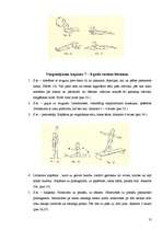 Referāts 'Stājas traucējumu profilakse', 13.