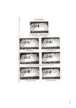 Referāts 'Stājas traucējumu profilakse', 17.