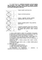 Paraugs 'Darba aizsardzības instrukcija pirmsskolas izglītības iestādes medmāsai', 4.