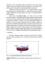 Referāts 'Reklāmas un dizaina komercdarbības attīstība Latvijā', 5.