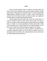 Referāts 'Projekta plāns', 3.