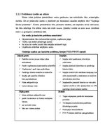 Referāts 'Projekta plāns', 5.