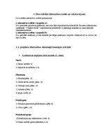 Referāts 'Projekta plāns', 7.