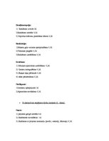 Referāts 'Projekta plāns', 8.