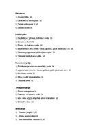 Referāts 'Projekta plāns', 9.