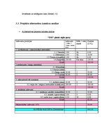 Referāts 'Projekta plāns', 11.