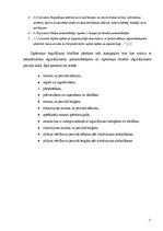 Prakses atskaite 'Mācību prakses atskaite grāmatvedībā', 11.