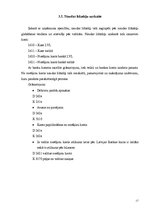 Prakses atskaite 'Mācību prakses atskaite grāmatvedībā', 17.