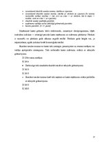 Prakses atskaite 'Mācību prakses atskaite grāmatvedībā', 19.