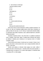 Prakses atskaite 'Mācību prakses atskaite grāmatvedībā', 24.