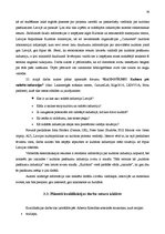 Prakses atskaite 'Kvalifikācijas prakses atskaite kultūras iestādē', 39.