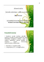 Prakses atskaite 'Kvalifikācijas prakses atskaite kultūras iestādē', 46.