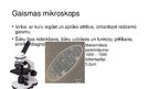 Prezentācija 'Mikroskopi, to veidi un lietošanas priekšrocības', 3.