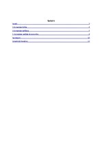Referāts 'Vadītāja nozīme komandā', 2.