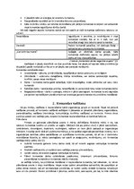 Referāts 'Vadītāja nozīme komandā', 5.