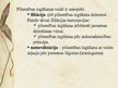 Prezentācija 'Pilsonības institūts konstitucionālajās tiesībās', 6.