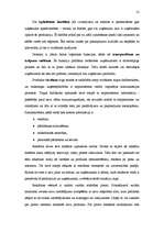 Diplomdarbs 'Uzņēmējdarbības attīstības problēmas tirdzniecībā', 21.