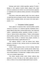 Diplomdarbs 'Uzņēmējdarbības attīstības problēmas tirdzniecībā', 31.