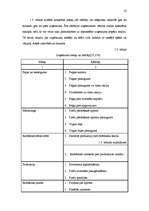 Diplomdarbs 'Uzņēmējdarbības attīstības problēmas tirdzniecībā', 32.