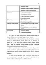 Diplomdarbs 'Uzņēmējdarbības attīstības problēmas tirdzniecībā', 33.