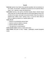 Referāts 'Izpildvara Latvijā', 3.