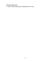 Referāts 'Izpildvara Latvijā', 15.