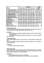 Diplomdarbs 'Bodibildings sporta klubā "Panatta Fittness"', 31.