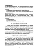 Diplomdarbs 'Bodibildings sporta klubā "Panatta Fittness"', 32.