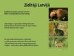 Prezentācija 'Zīdītāju sugu daudzveidības nozīme Latvijā', 4.