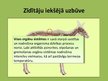 Prezentācija 'Zīdītāju sugu daudzveidības nozīme Latvijā', 5.
